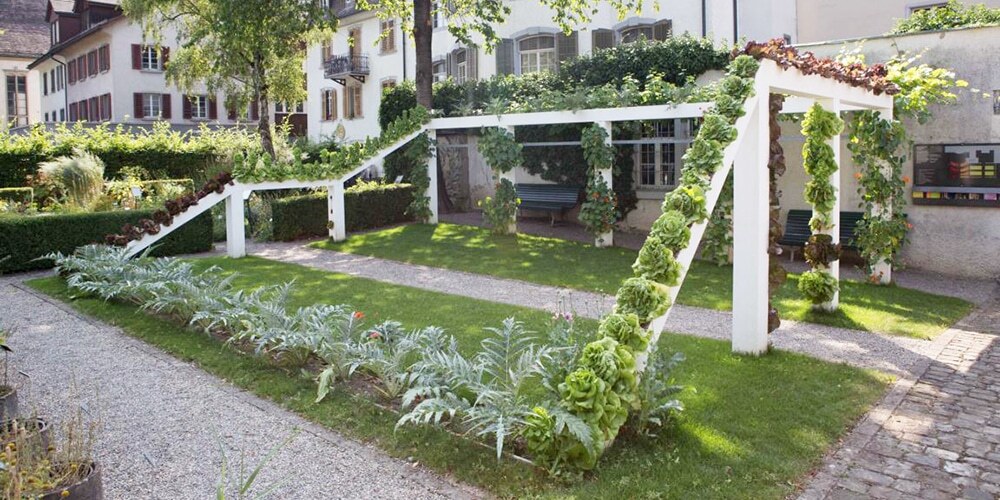 Die imposanten Hochbeetbahn als weisse Überkopfgrosse Installation im Museumsgarten