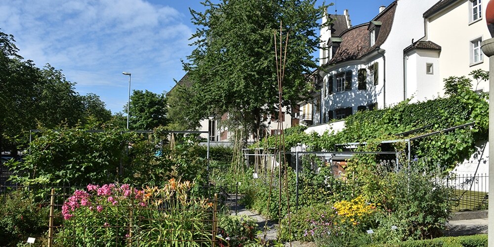 Blick in den blühenden Museumsgarten